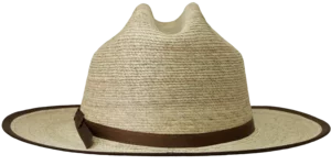 Back