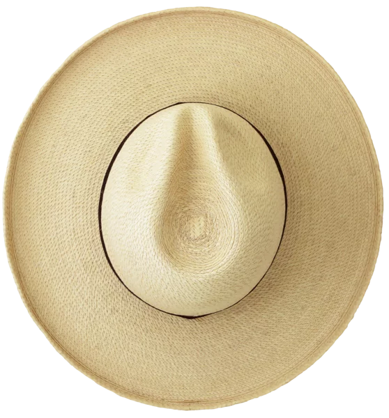 Top